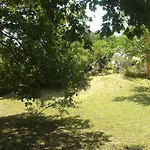 Entre Nimes Et Arles *