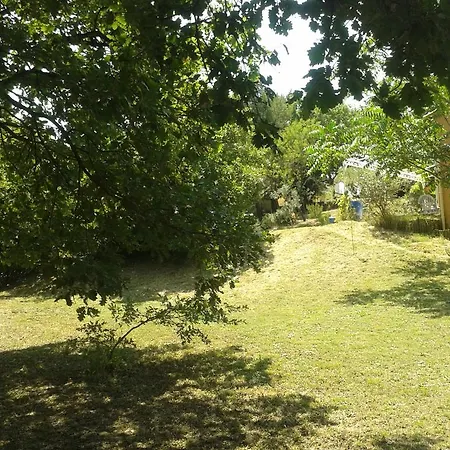 Maison Avec Piscine Privee Entre Arles, Nimes Et Camargue, Alpilles *